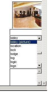 Dictionary image